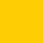 6040 yellow