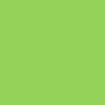 N0058 apple green