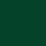 A0010 dark green