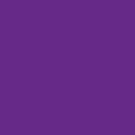 RI151 perfect purple