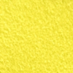T100 lemon