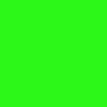 N0026 fluo green