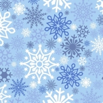 EPSNOW snowflakes
